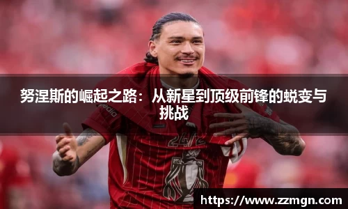 努涅斯的崛起之路：从新星到顶级前锋的蜕变与挑战